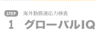 グローバルIQ
