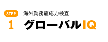 グローバルIQ