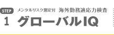 グローバルIQ