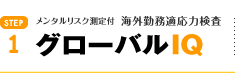 グローバルIQ