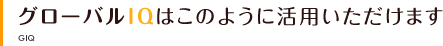 グローバルIQはこのように活用いただけます