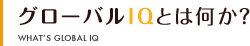 グローバルIQの設計概念