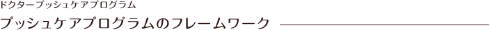 プッシュケアプログラムのフレームワーク